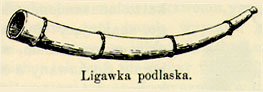 ligawka